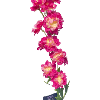 Zijde delphinium roze closeup